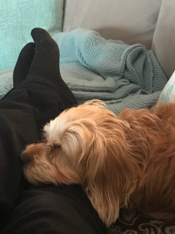 B420F3B4-58FE-49F0-B232-E2FFD7E6AE61